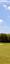 Golf club Bourgenay 18 trous par 72
